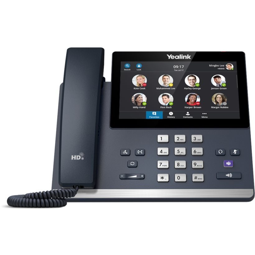 les Téléphonie VOIP Centrex (ligne) : 